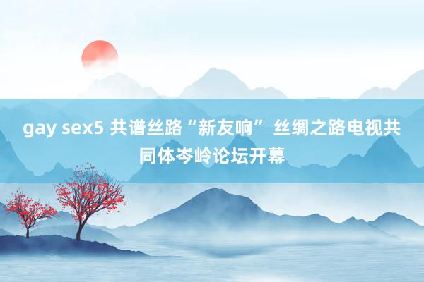 gay sex5 共谱丝路“新友响” 丝绸之路电视共同体岑岭论坛开幕